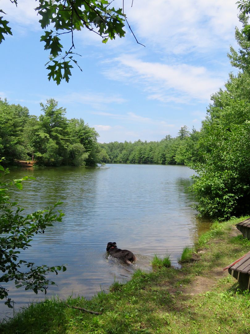 Winds of Destiny RVLife A Hike at Verona Beach State Park, 7/19/2017